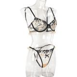 Flower Embroidered Polka Dot Mesh See-Through Sexy Lingerie Two-Piece Bra Set