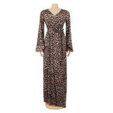 Casual Leopard Print V-Neck Women's Long Dress