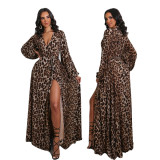 Casual Leopard Print V-Neck Women's Long Dress