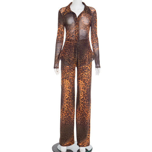 Women Leopard Print Mesh Long Sleeve Blouse and Pants Two-Piece Set