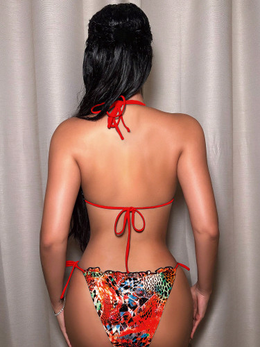 Women's two-piece swimsuit sexy leopard print bikini