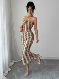Elegant printed tube top and maxi skirt suit for women