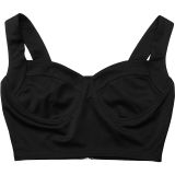 Women Sexy Crop Top and Belted Pants Two-Piece Set