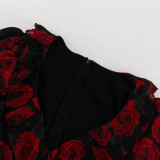 Women's digital printing V-neck long-sleeved dress autumn floral A-line skirt
