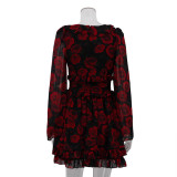 Women's digital printing V-neck long-sleeved dress autumn floral A-line skirt