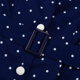 Autumn women's polka dot dress long sleeves single-breasted high-waisted french maxi dress