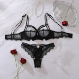 See-through eyelash embroidery hollow-out sexy bra set