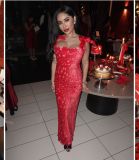 High-end embroidered bodycon maxi dress with bow