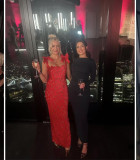 High-end embroidered bodycon maxi dress with bow