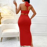 Women Solid Color Vest Top and Long Skirt Two-piece Set
