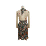 Women's Floral Print Pleated Sexy Sleeveless Halter Neck Dress