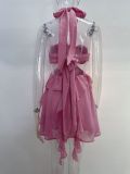 Beach Holiday Pink Mini Dress