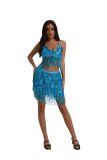Women stage performance tassel skrit set