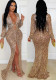 Women's Sexy Deep V Leopard Print High Slit Evening Dress