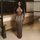Women's Snake Print Sexy Slim Fit Ring Long Sleeve Hollow-Out Long Dress