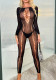 Sexy long-sleeved see-through lingerie women's tight-fitting mesh jumpsuit