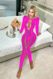 Sexy long-sleeved see-through lingerie women's tight-fitting mesh jumpsuit