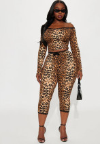 Women Off-Shoulder Lace Trim Leopard Print Top & Crop Pants Set