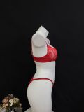 Embroidered solid color lace see-through hollow out sexy lingerie bra set