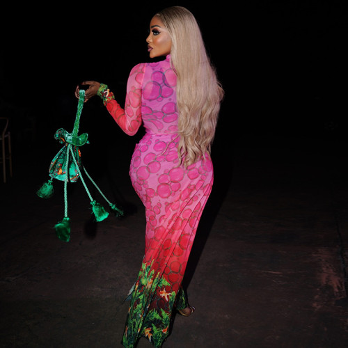 Women's Printed High Neck Long Sleeve Tie-Waist Maxi Dress