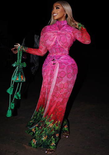 Women's Printed High Neck Long Sleeve Tie-Waist Maxi Dress