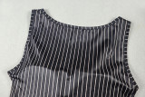 Women Striped Black Crop Vest & Pleated Skirt Two-Piece Set