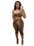 Women Sexy Leopard Printed Bra & Capri Trousers Two Piece Set