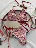 Women's two-piece fruit printed bikini