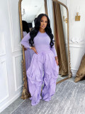 Casual Solid Color Long Sleeve Top and Ruffles Trousers Women  Two-Piece Set