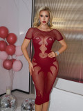 Exotic dancewear women fishnet bodycon dress