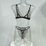 Sexy Lingerie Set Embroidered Wings See-Through Mesh Bra and Panties