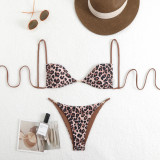 Leopard Print Sexy Two-Piece Bikini Swimsuit Set
