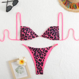 Leopard Print Sexy Two-Piece Bikini Swimsuit Set
