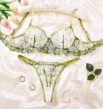 Sexy lingerie set see-through embroidery floral bra set