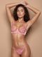 Two-piece set sexy lingerie mesh rose embroidery see-through bra panty set
