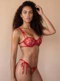 Rose embroidered bra thong panty set