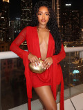 Women Plunging Neckline Wide Cuff Sleeves Mesh Dress