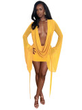Women Plunging Neckline Wide Cuff Sleeves Mesh Dress