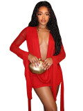 Women Plunging Neckline Wide Cuff Sleeves Mesh Dress