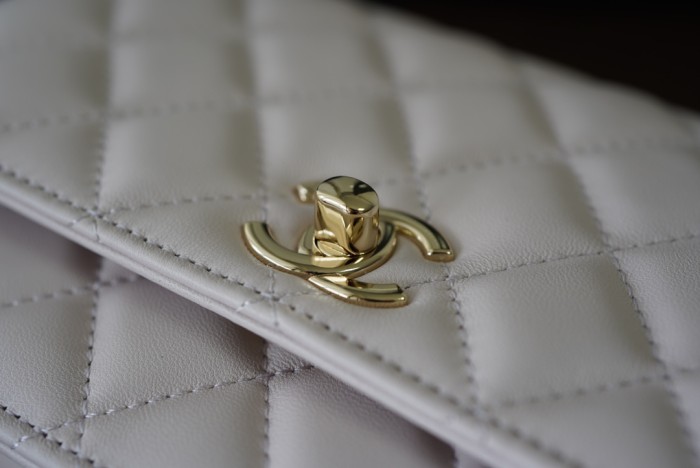 Handbag Chanel AP84456 size 19 cm