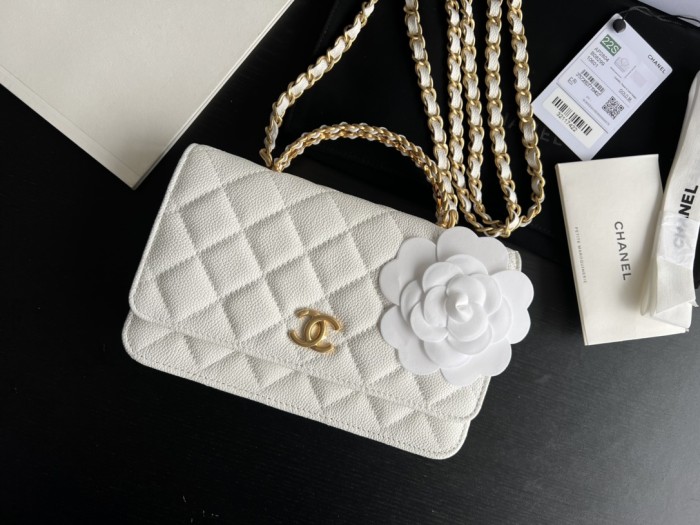 Handbag Chanel AP2806 size 19 cm