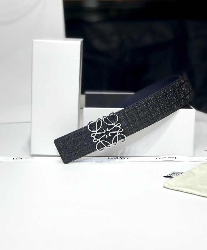 Loewe Belt 2 (width 3.9cm)