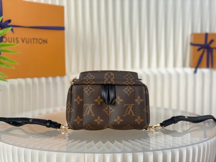 Handbag Louis Vuitton M44873 mini size 17x22x10cm