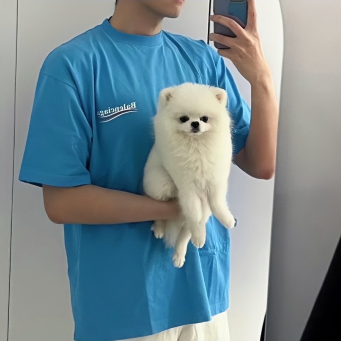 Clothes Balenciaga 213