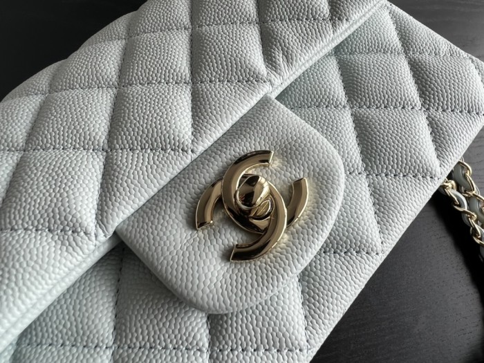 Handbag Chanel size 20 cm