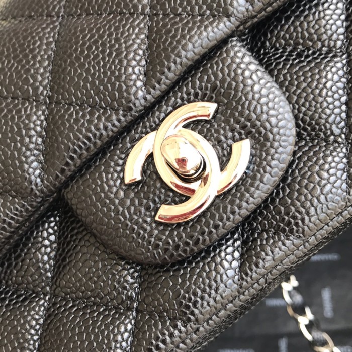 Handbag Chanel 01116 size 20 cm