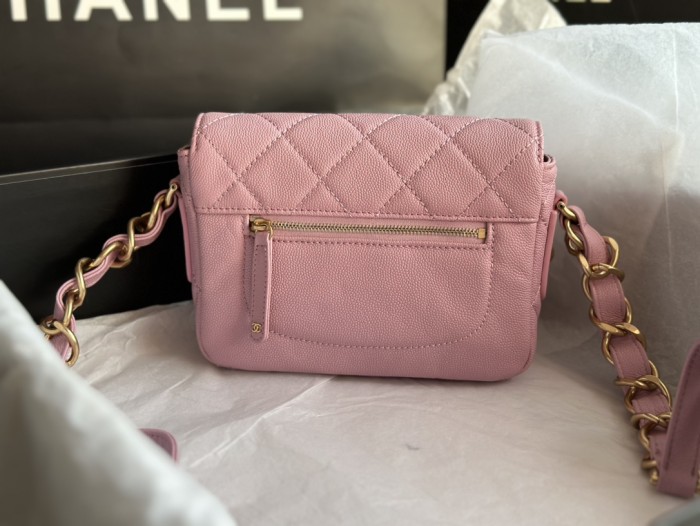 Handbag Chanel AS3181 size 14 X20 X6 cm