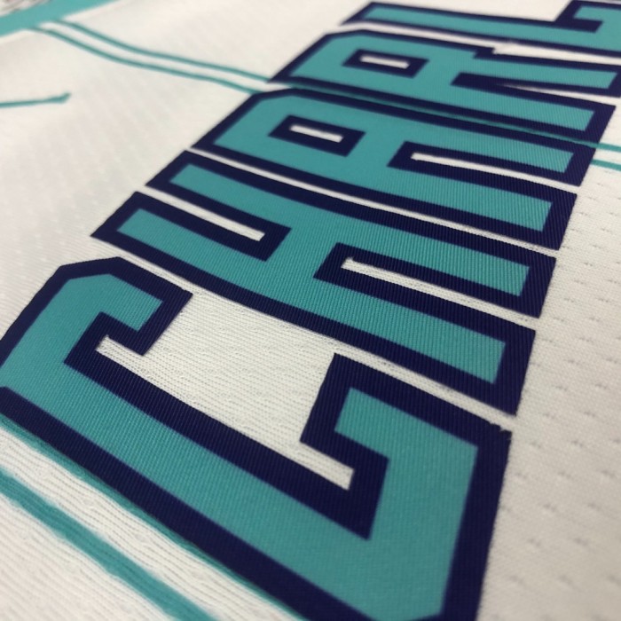 Basketball Jerseys Charlotte Hornets