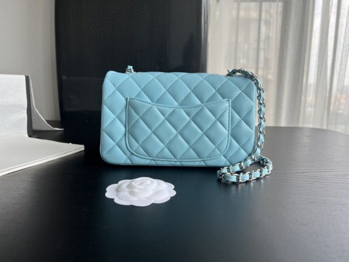 Handbag Chanel 1116 size 20 cm