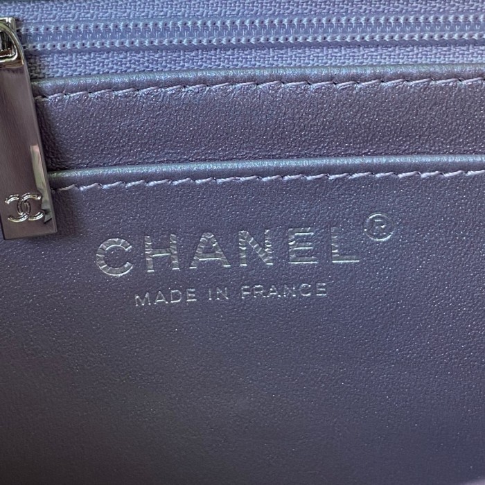 Handbag Chanel A01116 size 20 cm